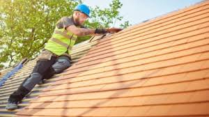 Best Roof Maintenance and Cleaning  in Palm River Clair Mel, FL