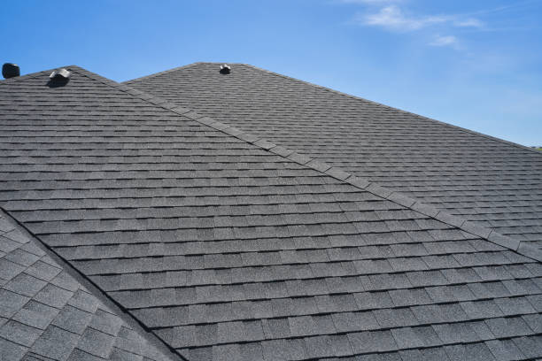 Best Roof Moss and Algae Removal  in Palm River Clair Mel, FL