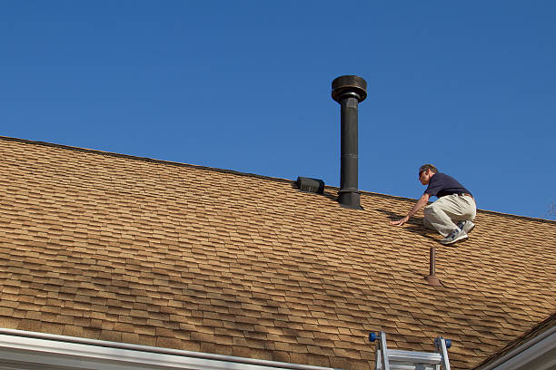 Best Asphalt Shingle Roofing  in Palm River Clair Mel, FL